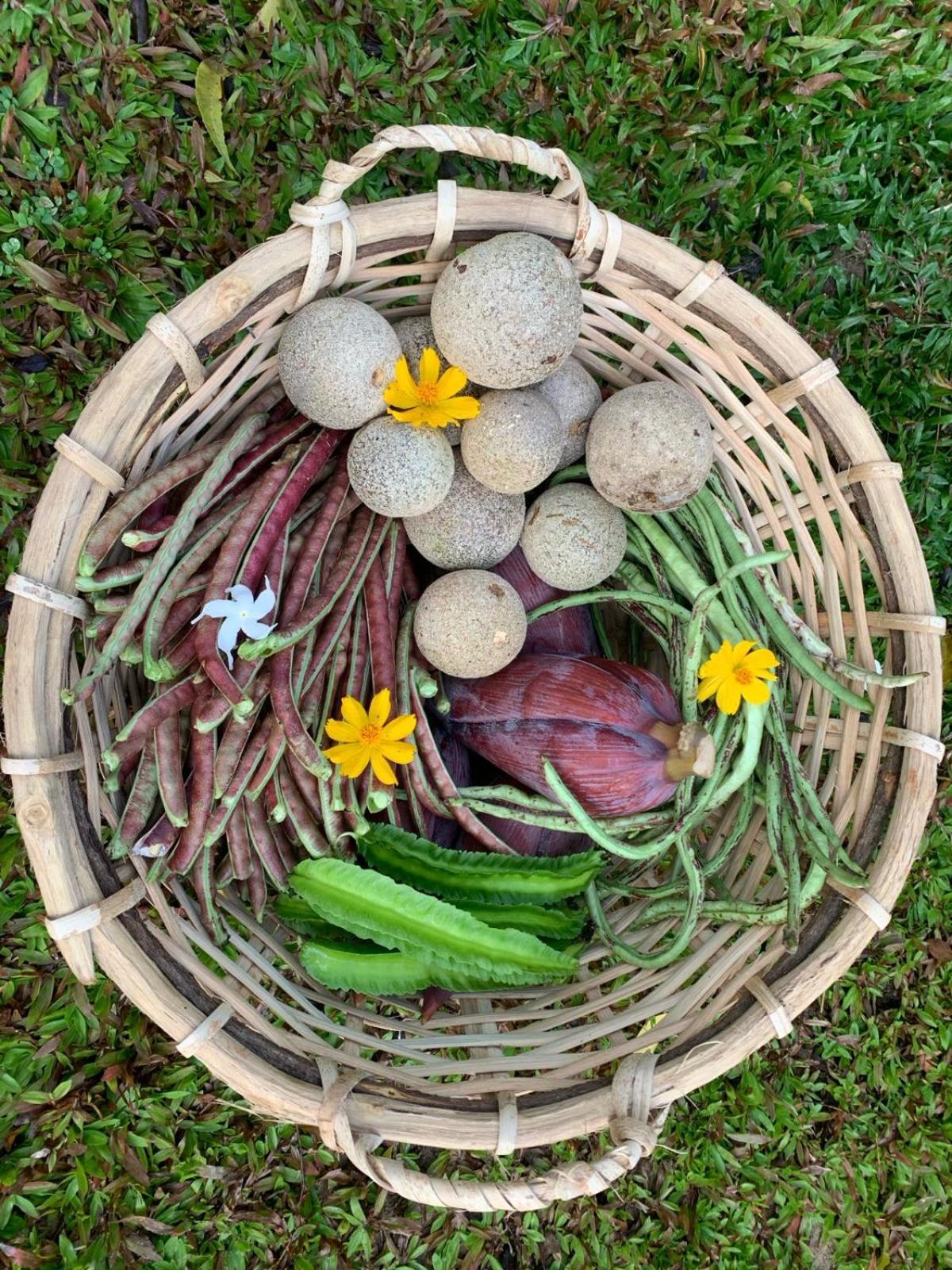 Sahana Retreat Buttala 外观 照片