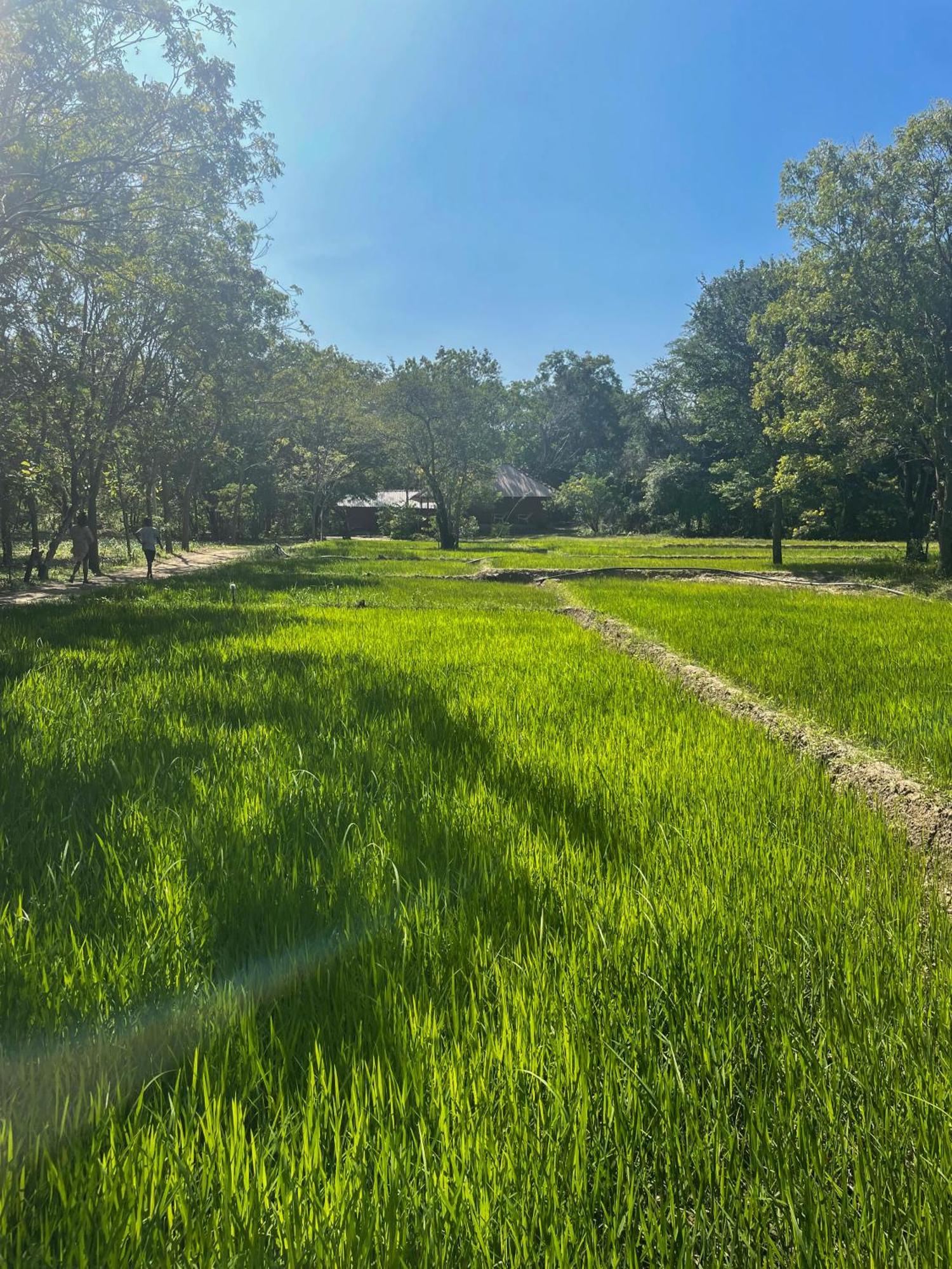 Sahana Retreat Buttala 外观 照片
