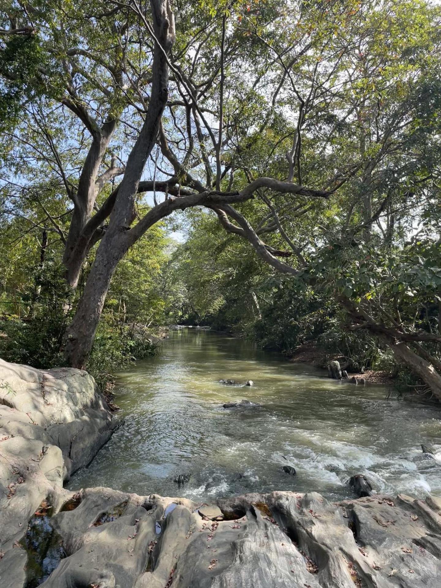 Sahana Retreat Buttala 外观 照片