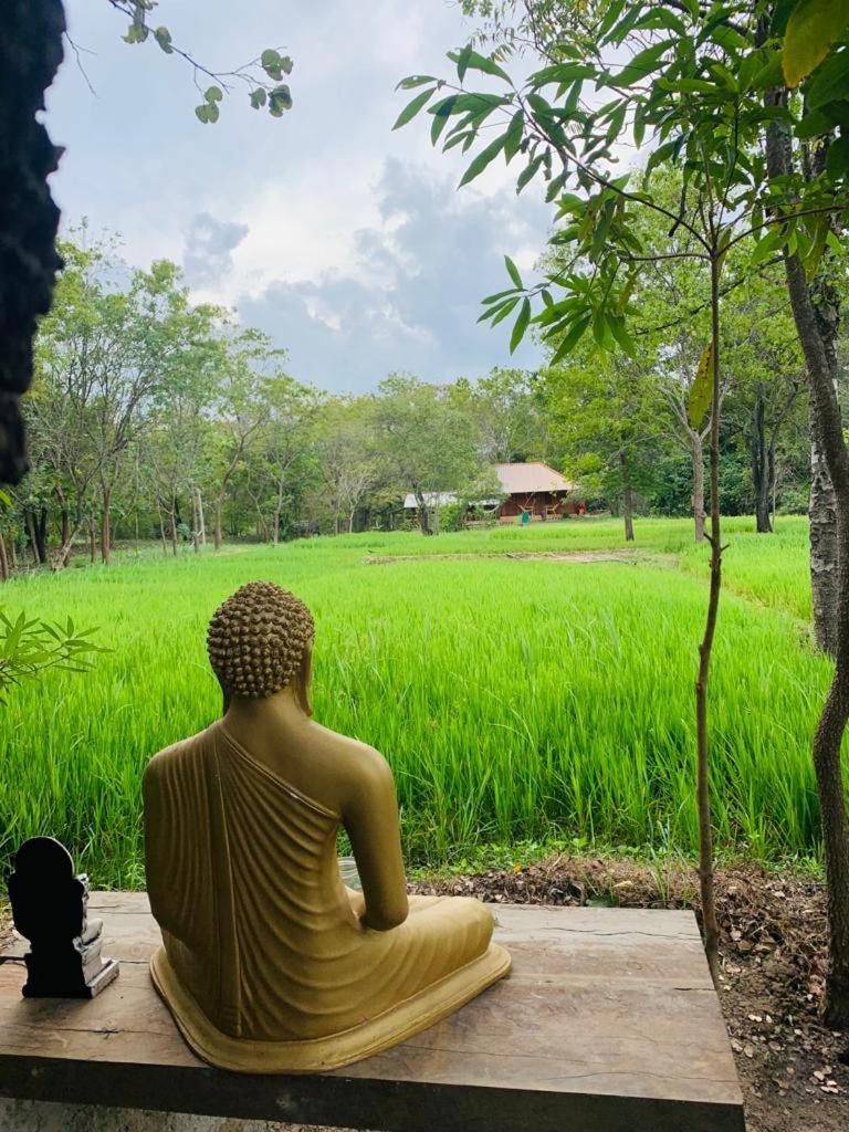 Sahana Retreat Buttala 外观 照片