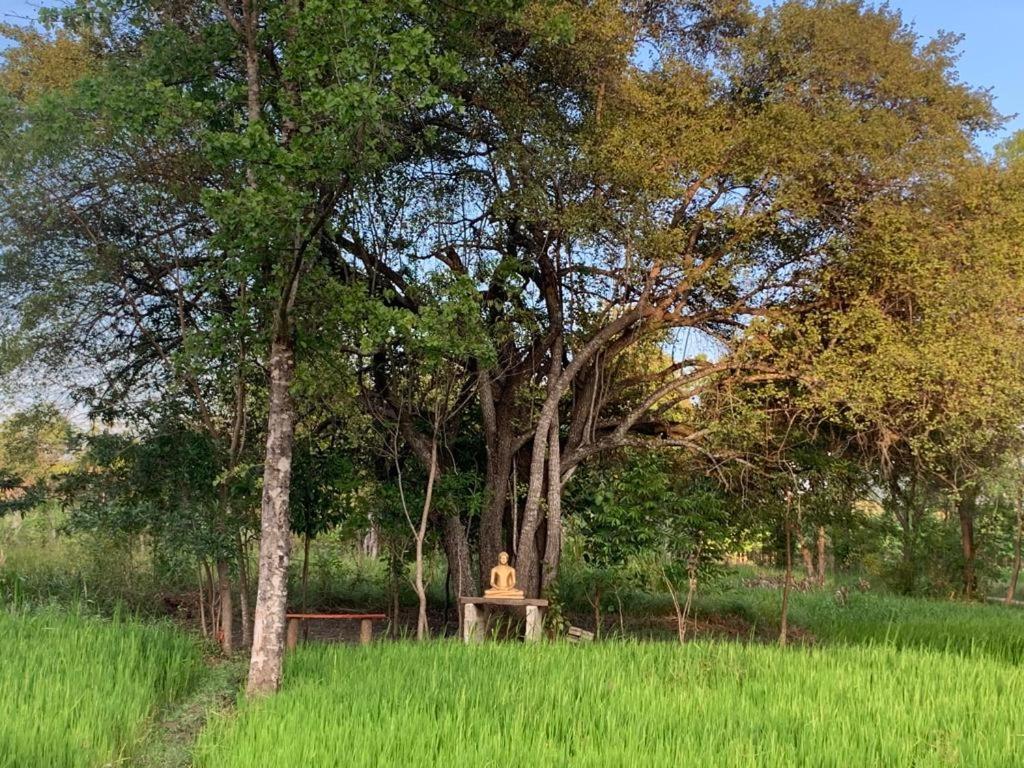 Sahana Retreat Buttala 外观 照片