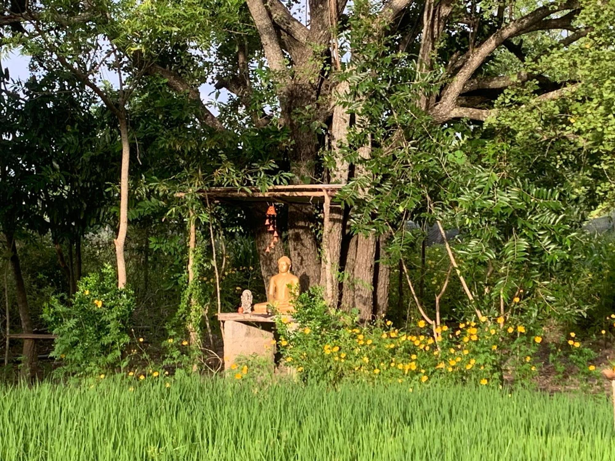 Sahana Retreat Buttala 外观 照片