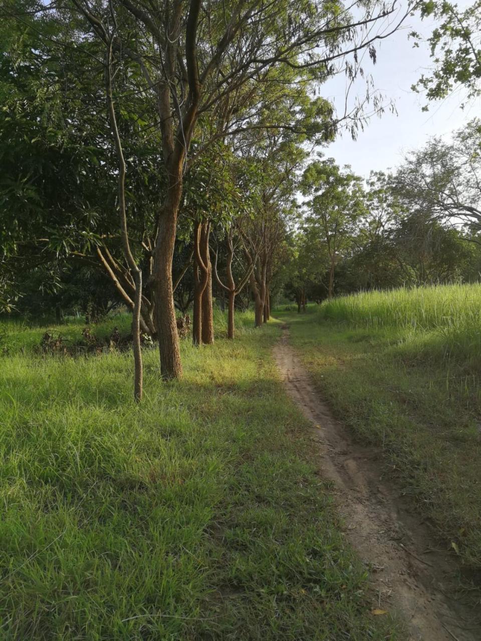 Sahana Retreat Buttala 外观 照片